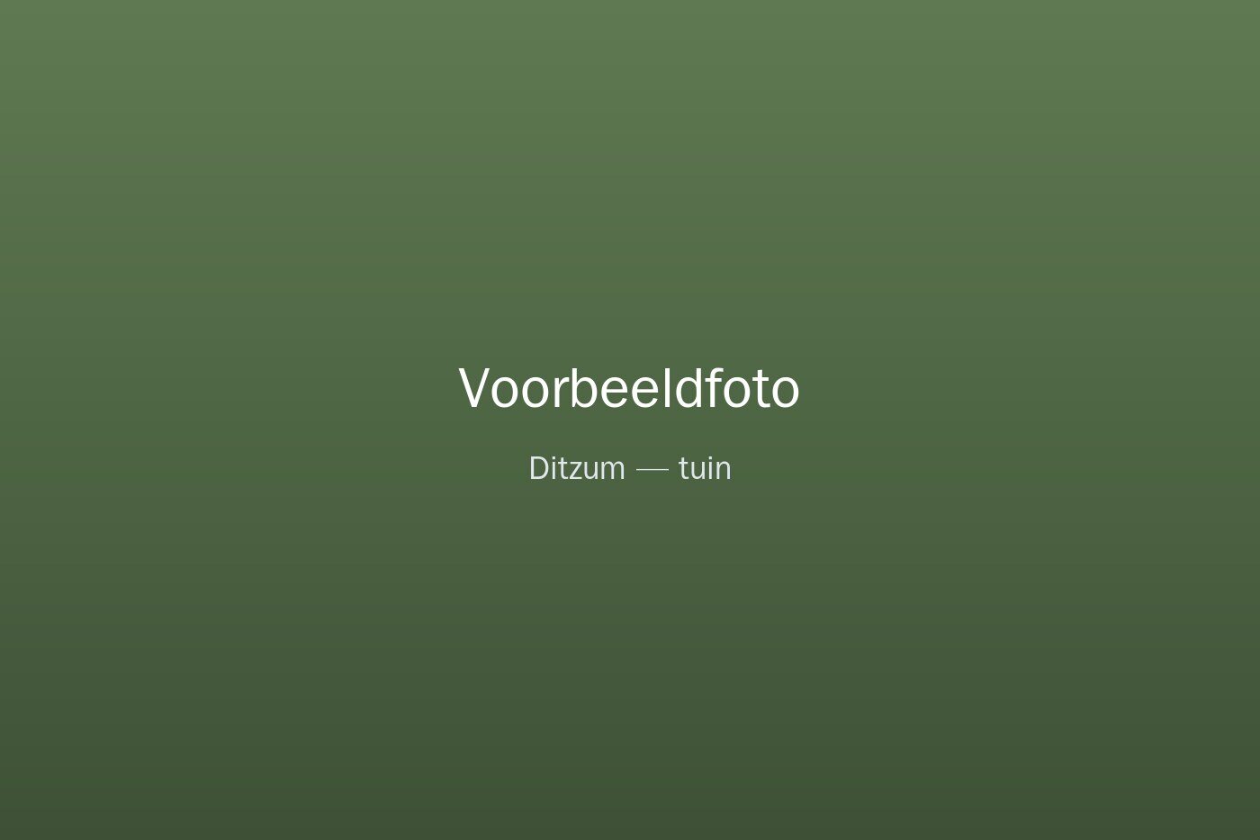 Tuin op het zuiden